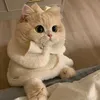 babustralala