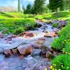 issam.issam3100