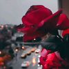 user1819292924