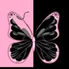 user3318126657880