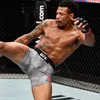 fightzone65