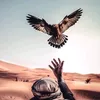 bashiq35