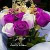 abdallah.jpra7