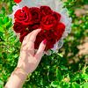 user1781616100538