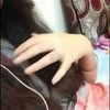 ayeshamalik1470