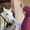 loubna_loubna741