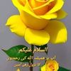 user9405044968194