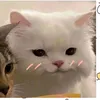 ng._th._ngc.linhc