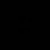 n2096