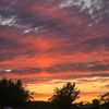 flordia.katt