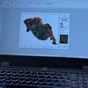 raden_ambon