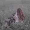 jashaarr