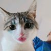 savel82_5