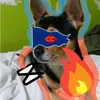 benixeditz