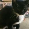 archimedes.jr6