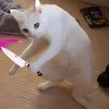 heomeeaot_1