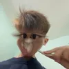 hoangthaison011