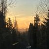 andrea_4362