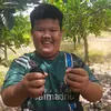 truongthien2451