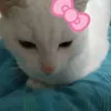 angel_love66