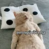 hoaiuuuu33
