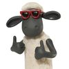 shawnthesheep0mbek_mbek