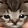 kiaraant