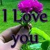 user552744119609
