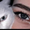 _sairan1