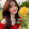 la.win.lay13