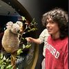 chlamydiacarryingkoalas