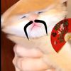 syahmikawaii