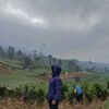 faapenjahatt