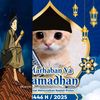 maduranese12