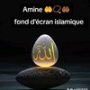 user4588732859967