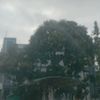 chitko123416