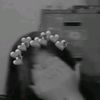 magarni.dan.12