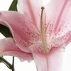 verrra04
