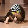 .bruh0000