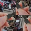 noviaayang