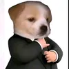 hhfgt14