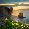 younes.cherni8