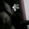 dilki120408