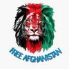 ahmadfaridazizi48