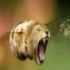 touchblog