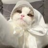 krasue_kittyy
