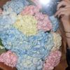 dayan_shik