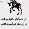 imtaoun_nwochn