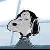imnot.suguru