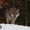 tiltokuser18